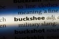 buckshee Royalty Free Stock Photo