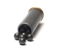 Buckshot. Royalty Free Stock Photo