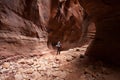 Buckskin Gulch Backpacker Royalty Free Stock Photo