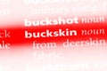 buckskin