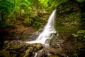 Bucktail Waterfall in Upstate New York