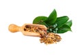 Buckthorn Bark or Alder Buckthorn Dried Loose Herbal Tea On White