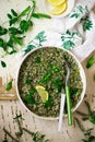 Buckweat and green peas risotto vegeterian dish Royalty Free Stock Photo