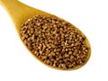 Buckwheat Royalty Free Stock Photo