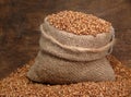 Buckwheat Royalty Free Stock Photo