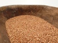 Buckwheat Royalty Free Stock Photo