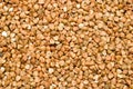 Buckwheat background