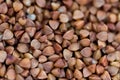 Buckwheat background. Close-up buckwheat background. Royalty Free Stock Photo