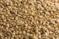Buckwheat background. Close-up. Food background Royalty Free Stock Photo
