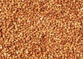 Buckwheat background, close up, beautiful Royalty Free Stock Photo