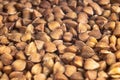 Buckwheat. Background texture of buckwheat. Macro shot of buckwheat texture. Fresh and dry buckwheat background.