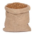 Buckwheat in bag from sacking Royalty Free Stock Photo