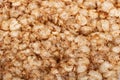 Buckwheat bread diet food close up, abstract background Royalty Free Stock Photo