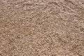 Buckwheat brown background