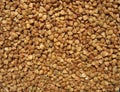 Buckwheat close up. Background Royalty Free Stock Photo