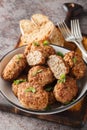 Buckwheat cutlet or Hrechanyky is a dish of Ukrainian which is prepared from minced meat and boiled buckwheat porridge with the Royalty Free Stock Photo