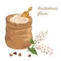 Buckwheat flour in a canvas bag with a measuring scoop and branch of a flowering plant isolated Royalty Free Stock Photo