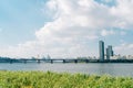 Buckwheat flower field and city view at Banpo Han river park Seorae island in Seoul, Korea Royalty Free Stock Photo