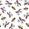 Buckwheat flowers and bees, seamless pattern on white background. Watercolor illustration. For background, packaging