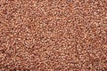 Buckwheat food background. buckwheat texture