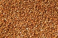 Buckwheat food background. Useful cereals for vegetarians