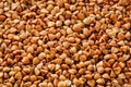 Buckwheat food background. Useful cereals for vegetarians