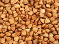 Buckwheat grains background