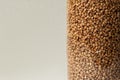 A buckwheat grains close-up on beigebackground colored Royalty Free Stock Photo