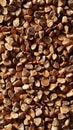 Buckwheat grains in hyperrealistic background with detailed texture Royalty Free Stock Photo