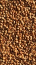 Buckwheat grains in hyperrealistic background with detailed texture Royalty Free Stock Photo