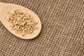 Buckwheat grains. Wooden spoon. Healthy food. Neutral background