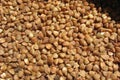 Buckwheat Royalty Free Stock Photo