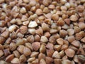 Buckwheat Royalty Free Stock Photo