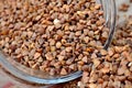 Buckwheat groats spilling out of glass jar Royalty Free Stock Photo