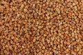 Buckwheat texture