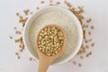 Buckwheat kernels on wooden spoon and buckwheat flour in bowl