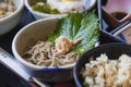 Buckwheat noodles with pate and with green shiso leaf. Royalty Free Stock Photo