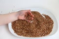 Buckwheat porridge and a child`s hand playing with it