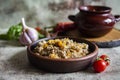 Buckwheat porridge with meat, garlic and onions on a clay plate, a clay pot with buckwheat on a wooden stand Royalty Free Stock Photo