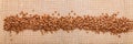 Buckwheat on sacking Royalty Free Stock Photo