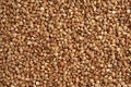 Buckwheat seeds Royalty Free Stock Photo