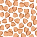 Buckwheat seeds. Color vector seamless pattern.