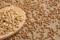 Buckwheat sprouts. Grain cereals. Natural background