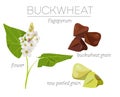 Buckwheat