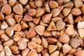 Buckwheat texture Royalty Free Stock Photo