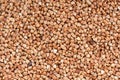 Buckwheat texture Royalty Free Stock Photo