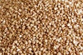 Buckwheat texture Royalty Free Stock Photo
