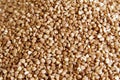 Buckwheat texture