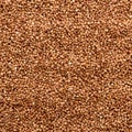 Buckwheat texture. Textures from raw buckwheat grains. Healthy food. Top view.