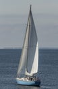 Buckwheat under sail Royalty Free Stock Photo